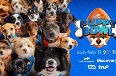 How one can watch Pet Bowl XX | Digital Developments